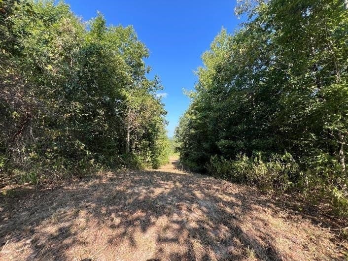 12 acres in Rusk County