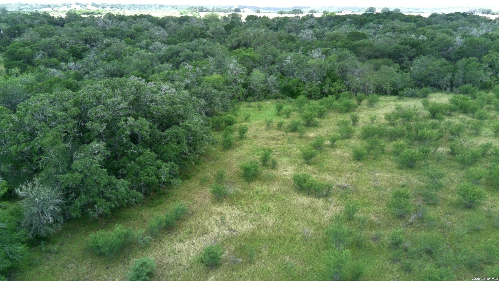 15 acres in Guadalupe County