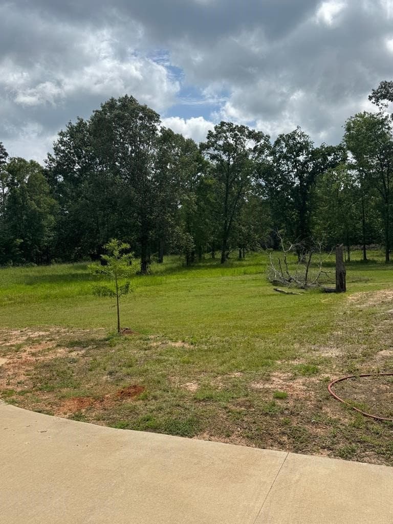 6.25 acres in Texas County