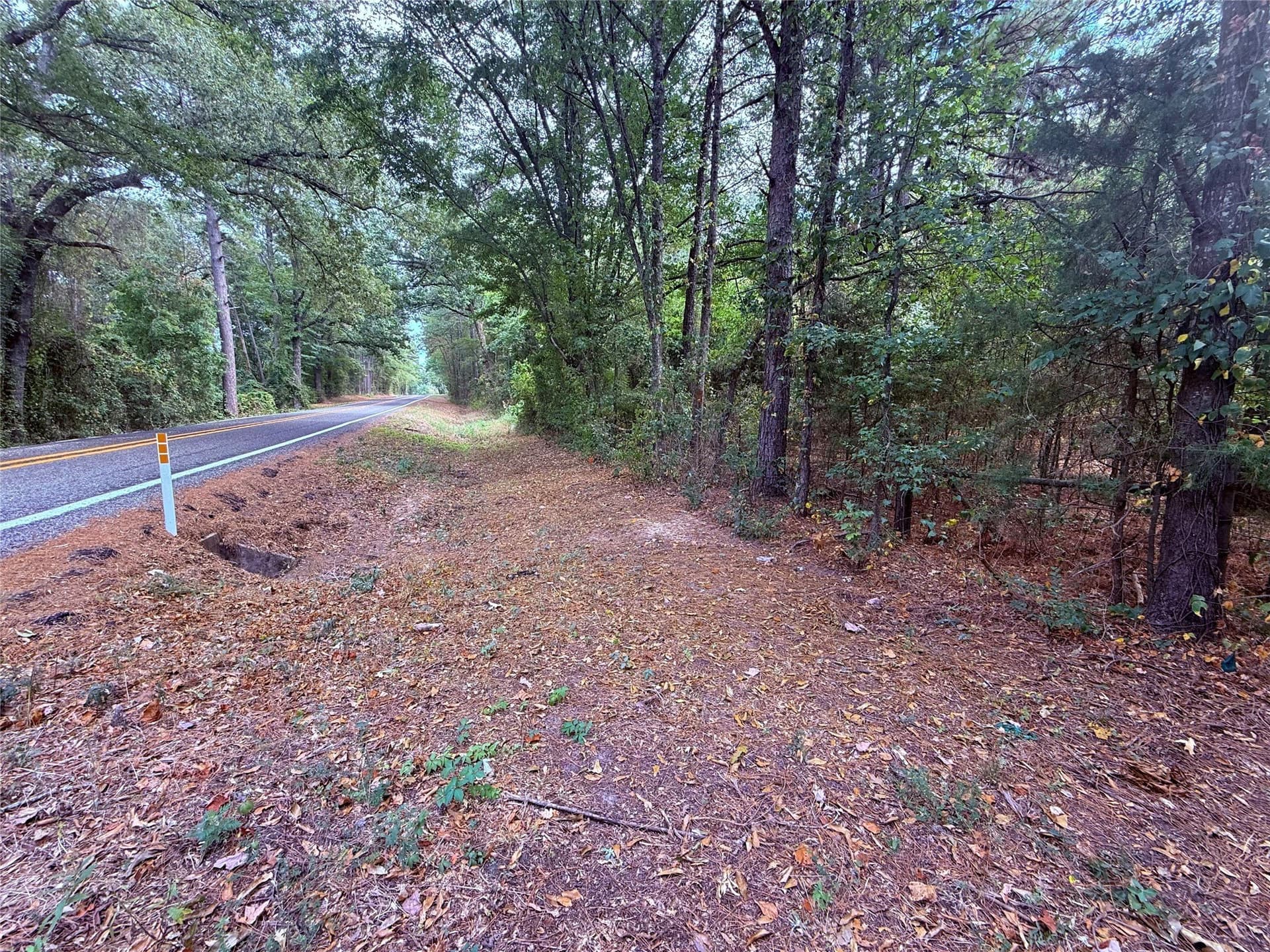 43.5 acres in Wood County