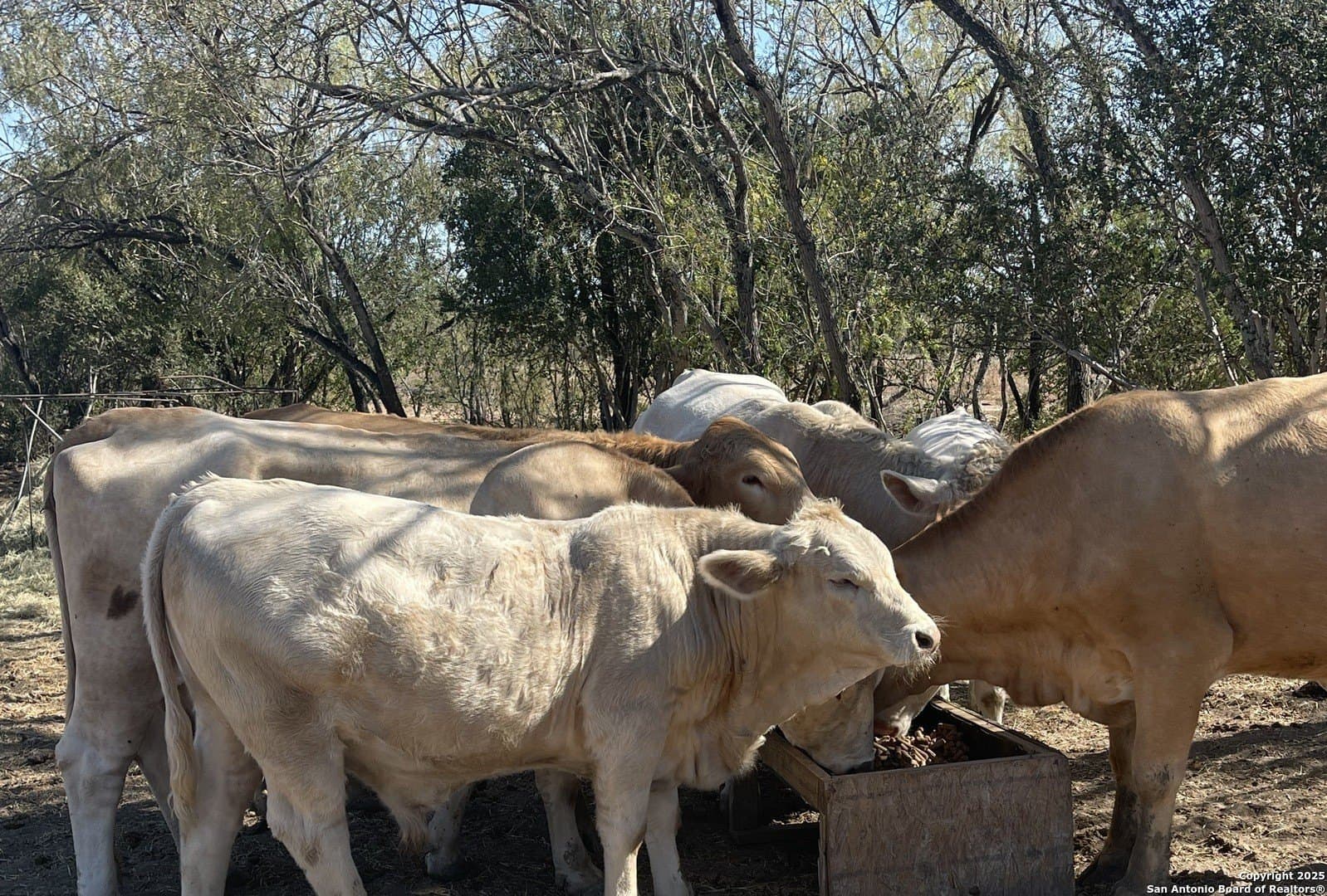 15.7 acres in Bexar County