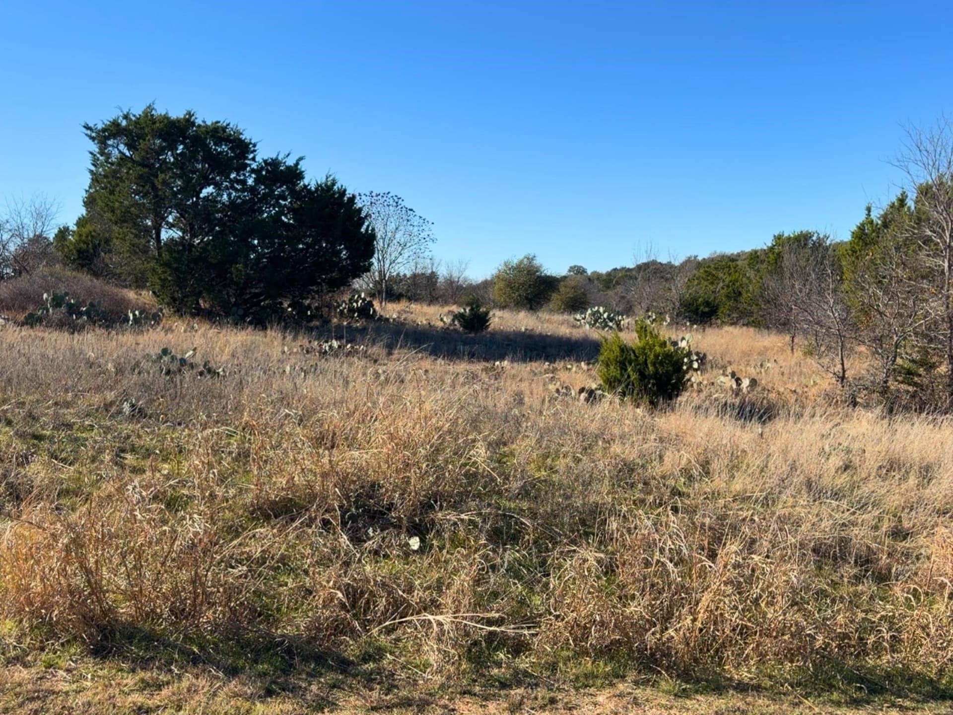 0.1 acres in Palo Pinto County
