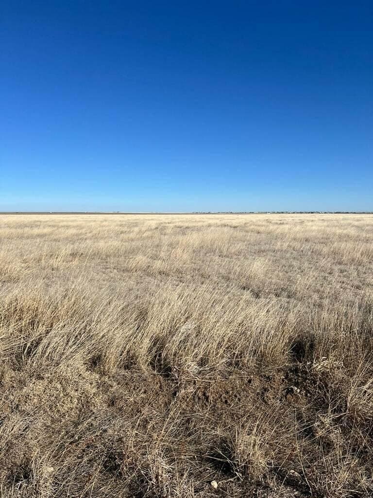 10 acres in Moore County