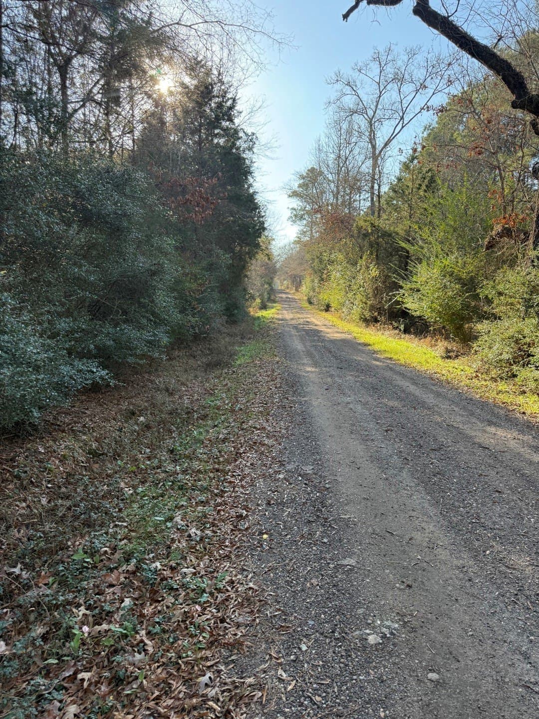 29.74 acres in Panola County