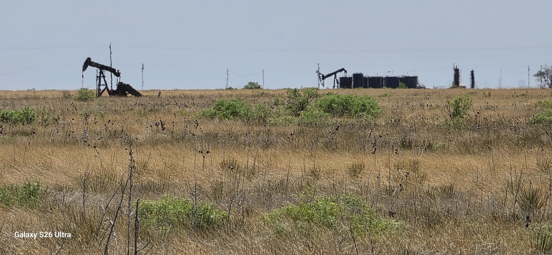 300 acres in Hockley County