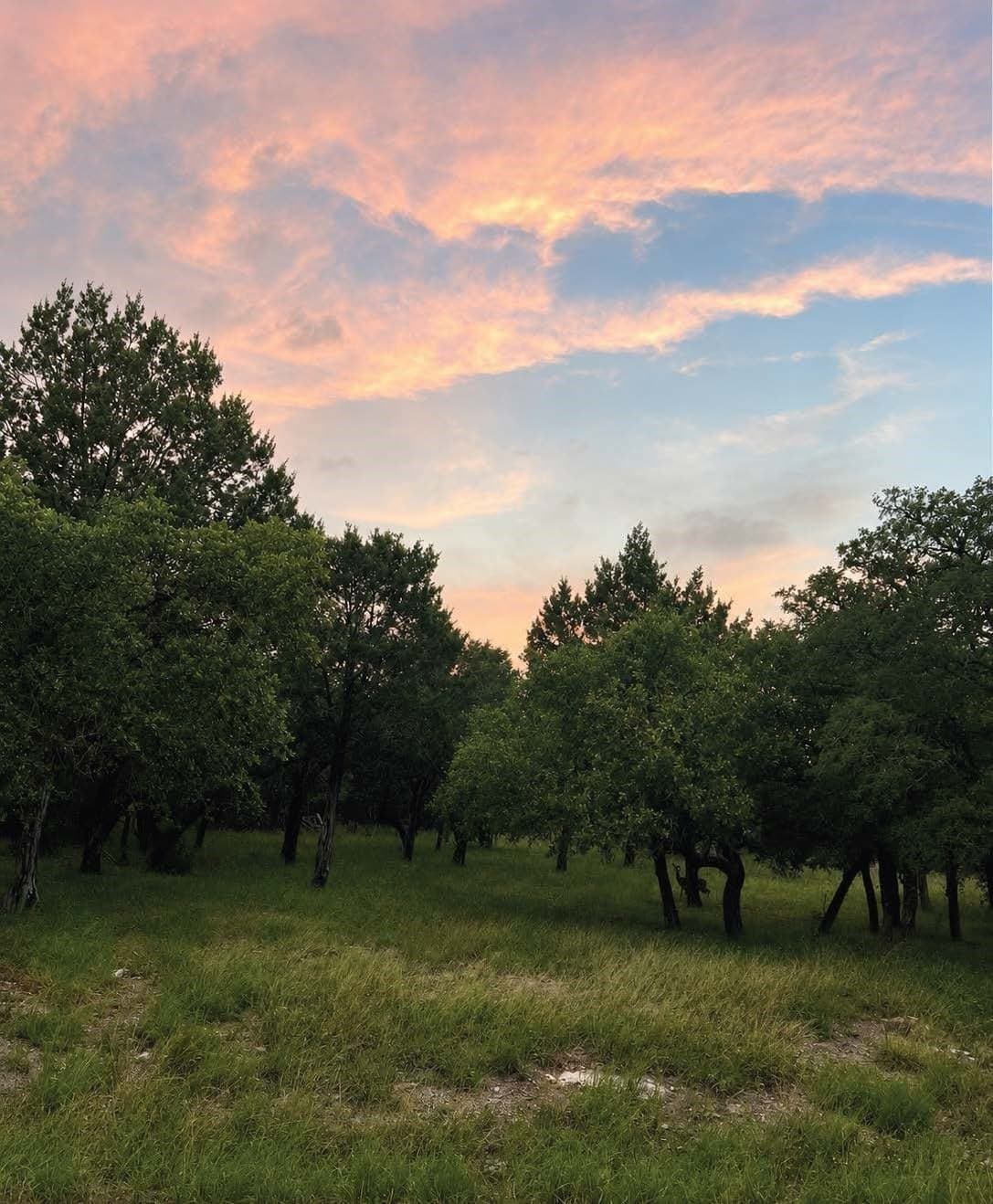 0.23 acres in Burnet County