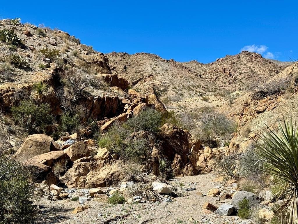 40 acres in Brewster County