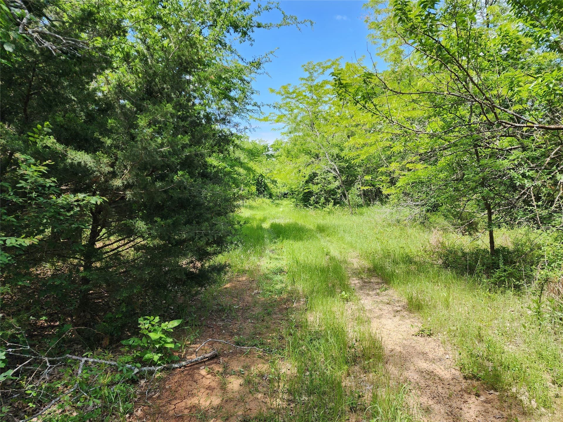67.74 acres in Hopkins County