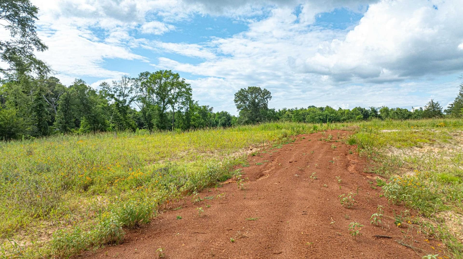 20.3 acres in Texas County