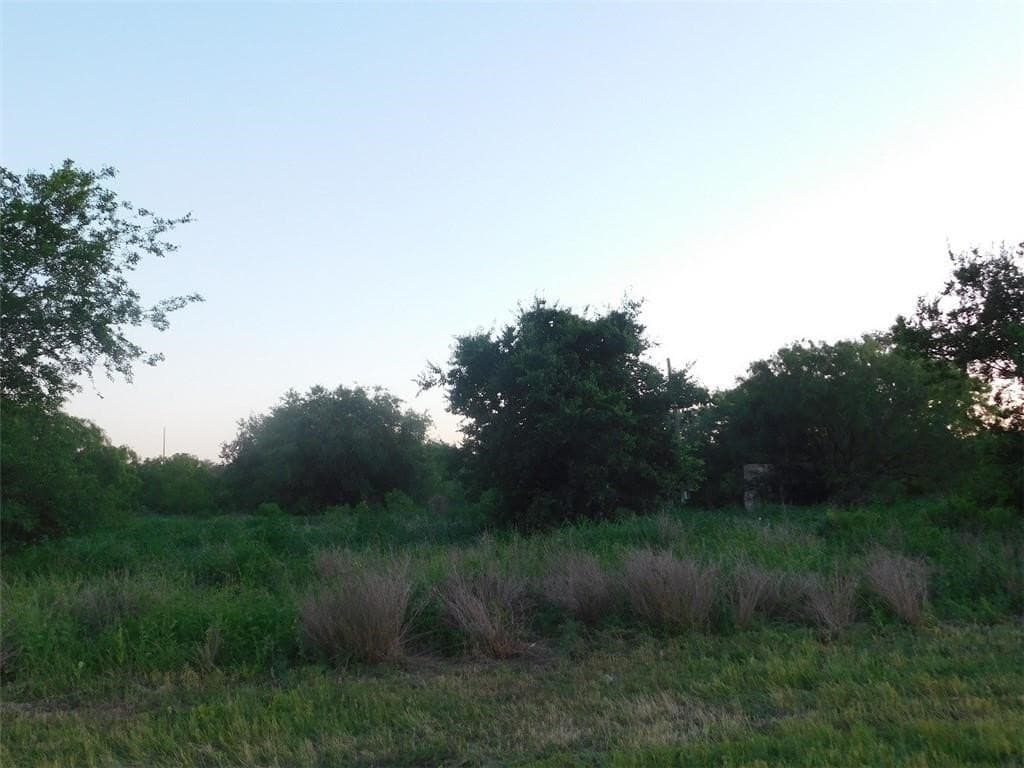 9.31 acres in Jim Wells County
