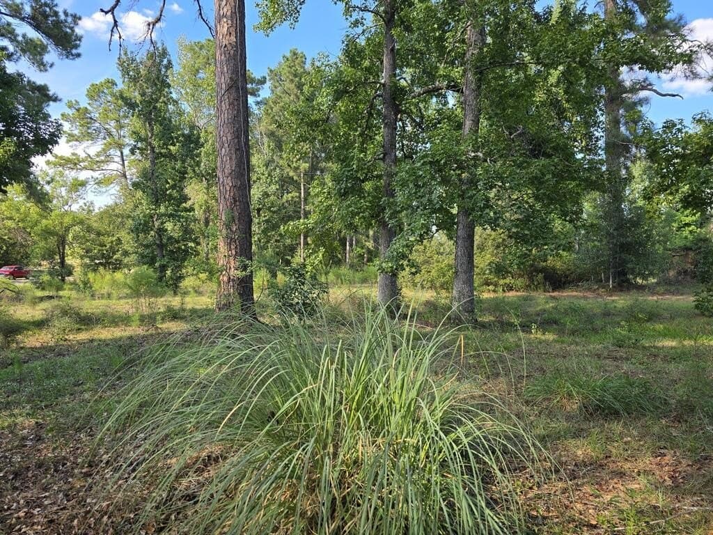 5 acres in Texas County