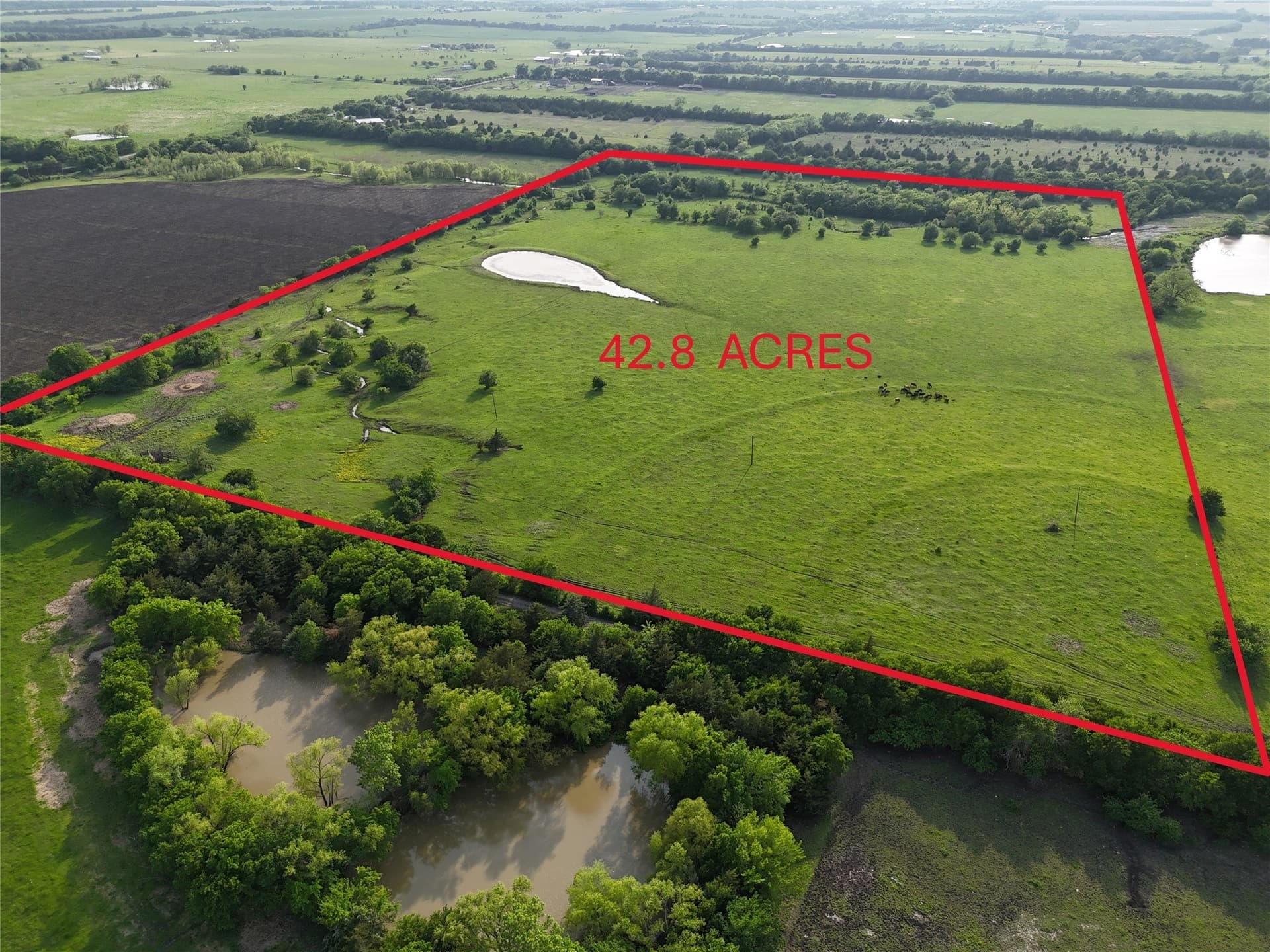42.8 acres in Fannin County