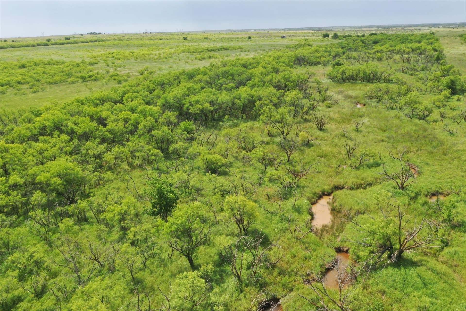 47.77 acres in Clay County