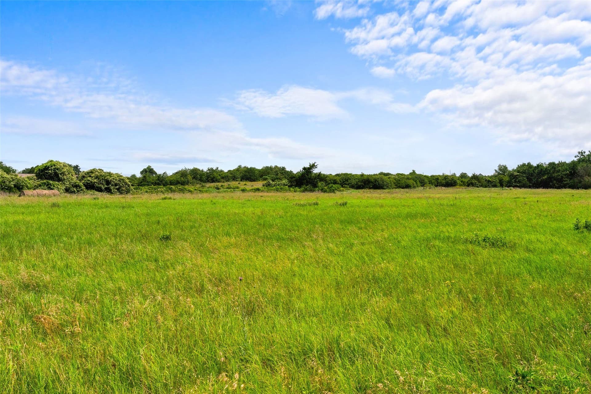 99.99 acres in Robertson County