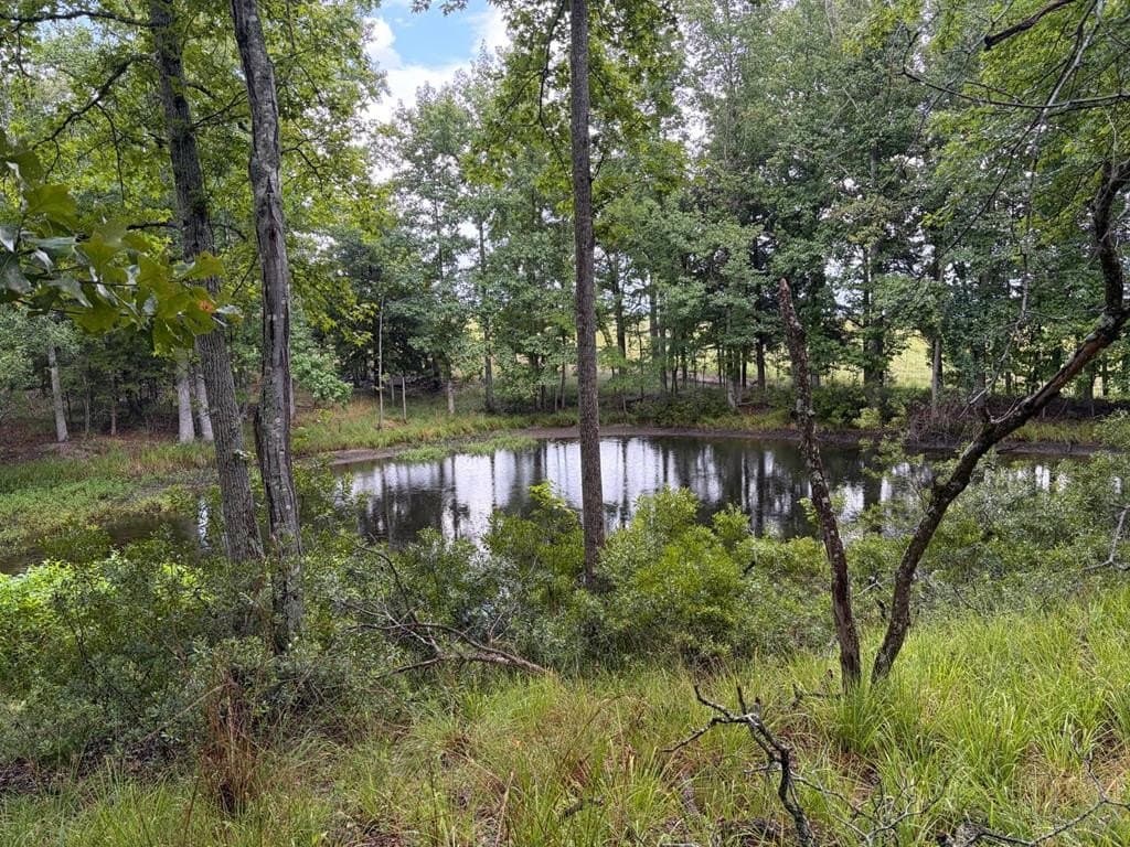 5.01 acres in Henderson County