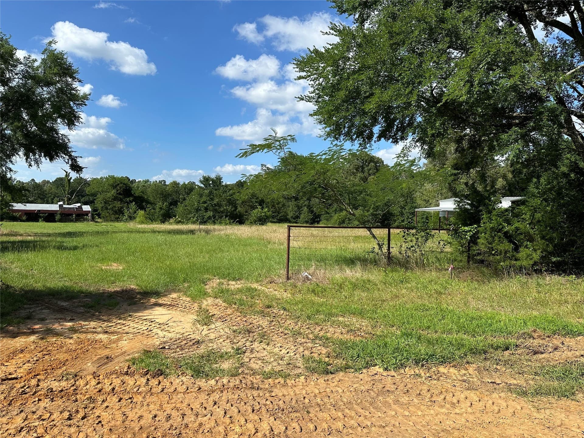 3.9 acres in Lamar County