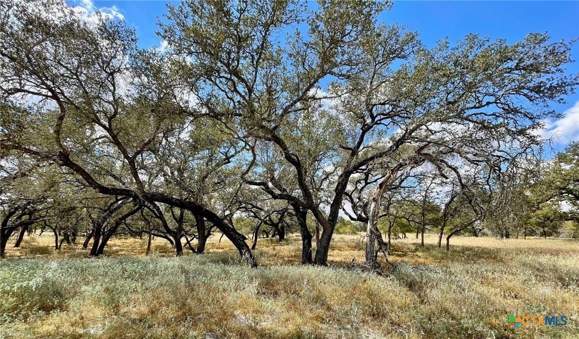 1 acres in Wilson County