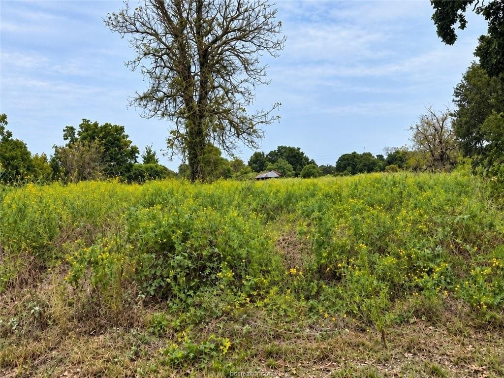 1.5 acres in Burleson County