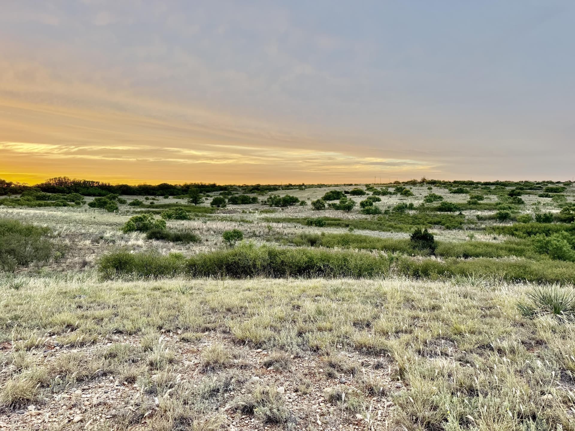 226.34 acres in Cottle County