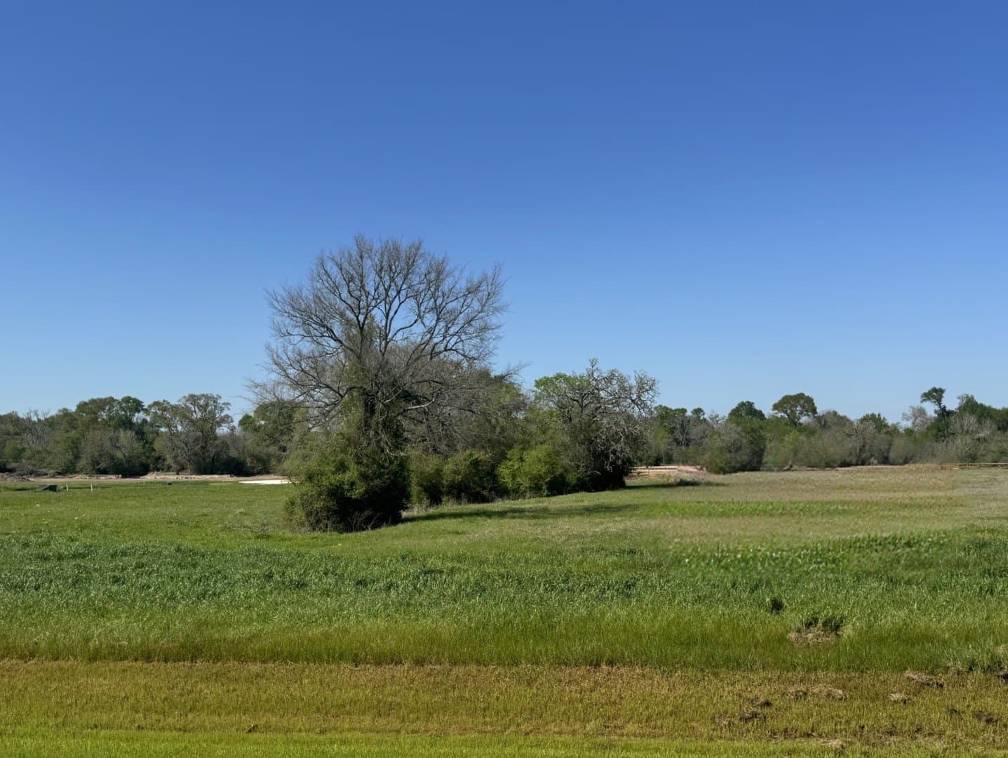 1.52 acres in Grimes County