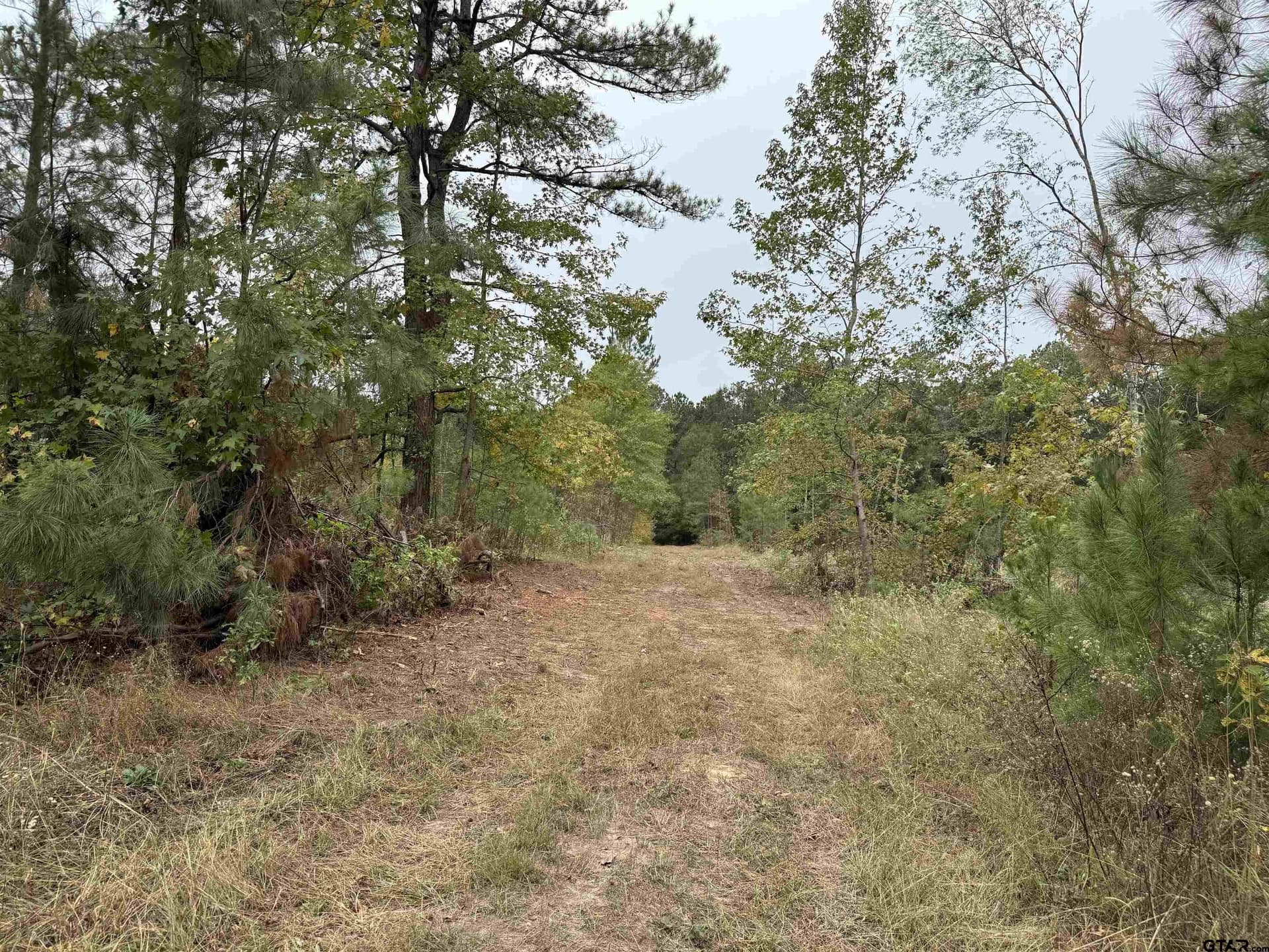 15.36 acres in Rusk County