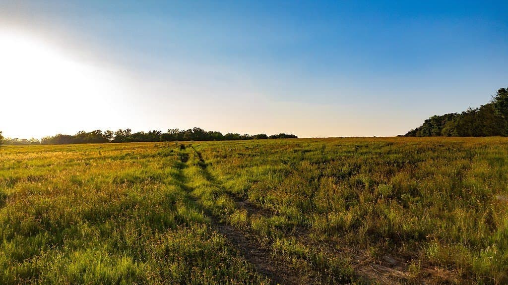 3.75 acres in Milam County