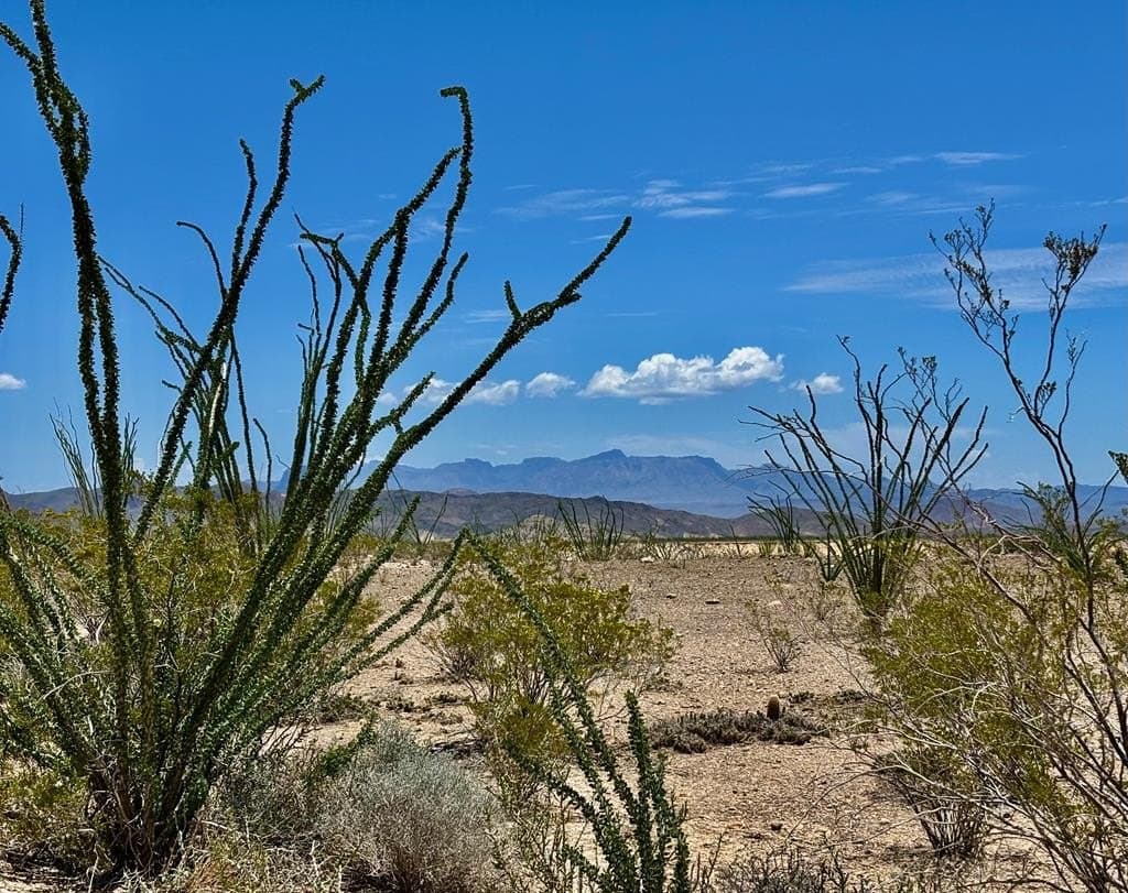 10 acres in Brewster County
