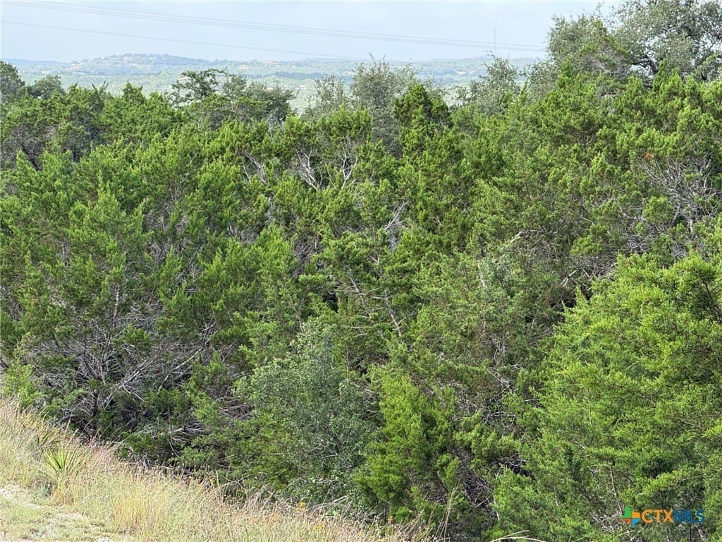 1.04 acres in Comal County
