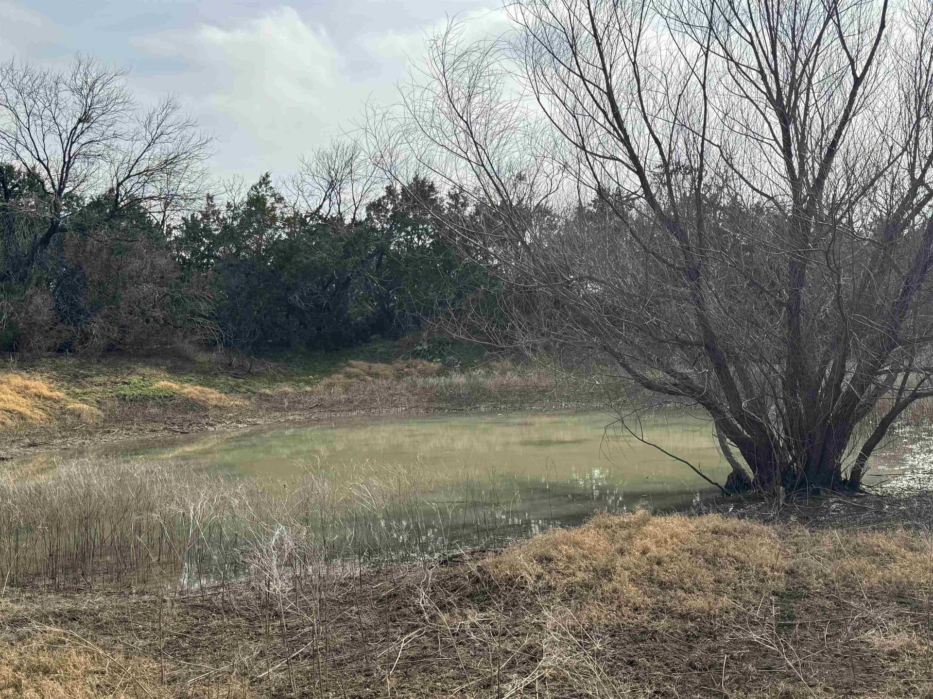 118 acres in McCulloch County