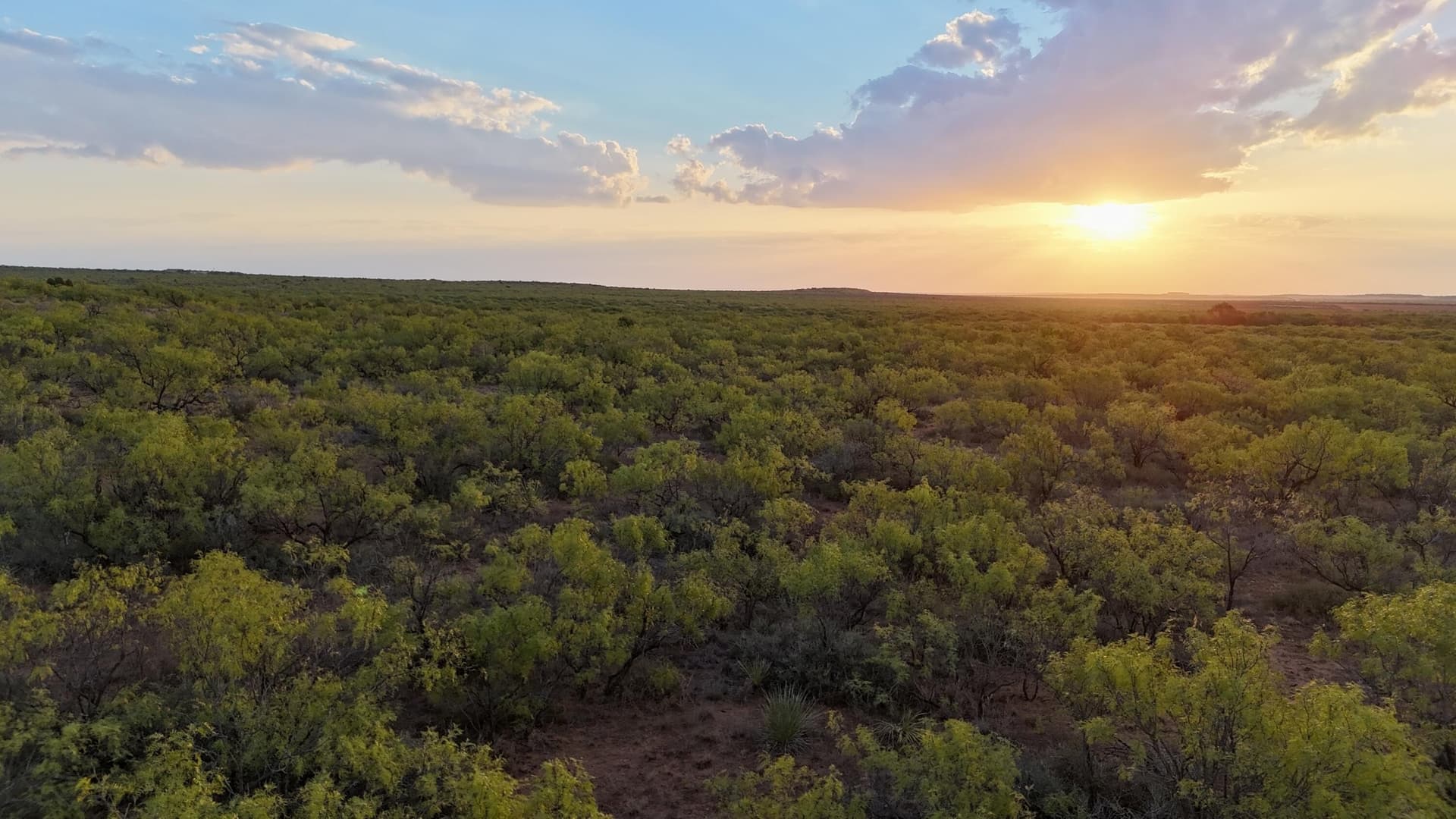 81.65 acres in Dickens County