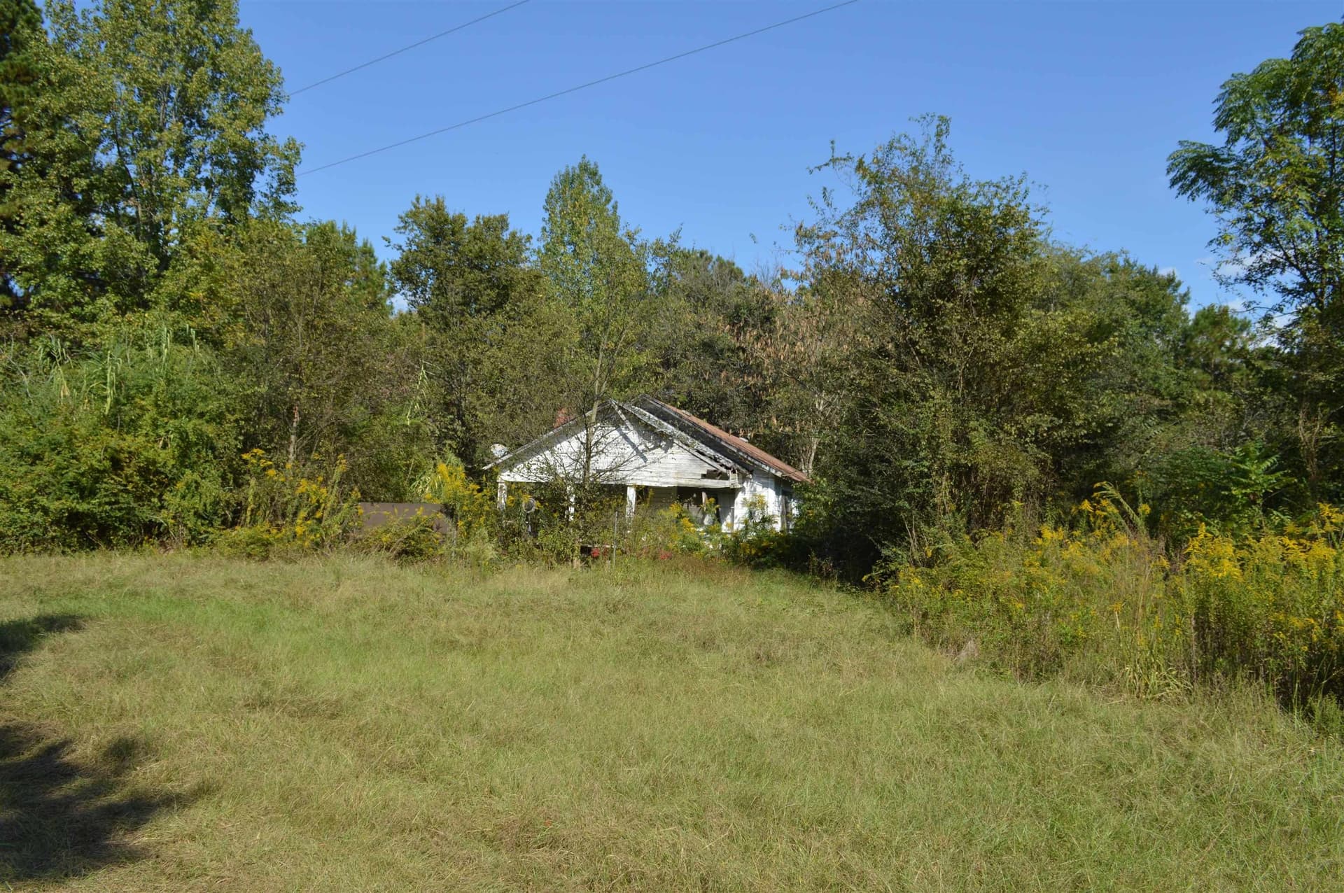 13.1 acres in Texas County