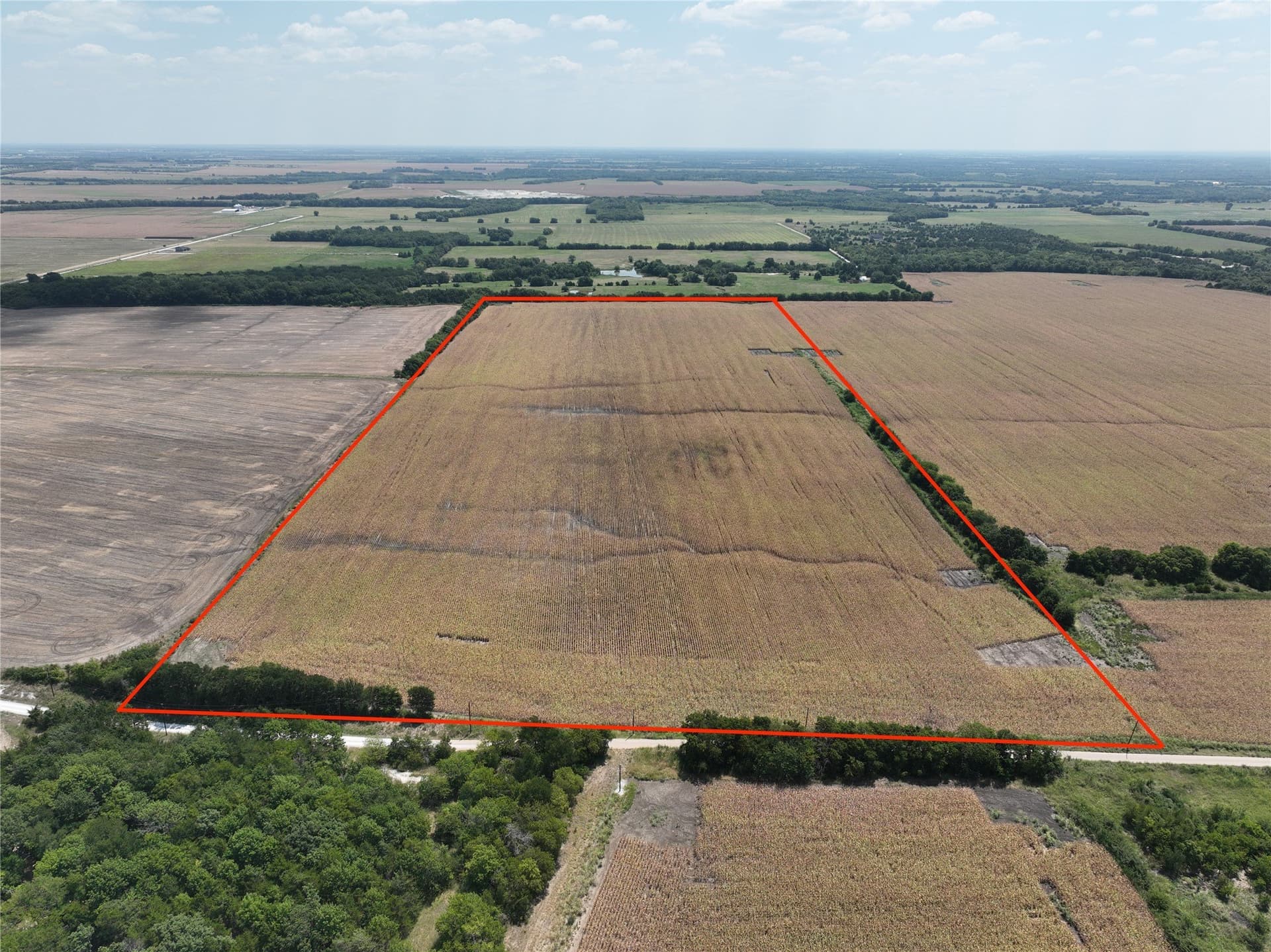 54.52 acres in Lamar County
