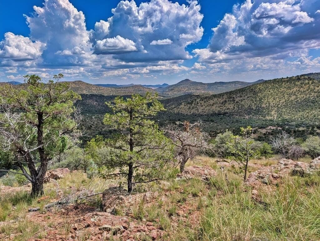 8.55 acres in Jeff Davis County