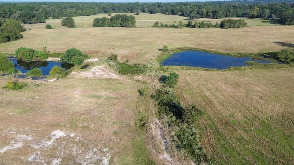 74.3 acres in Texas County
