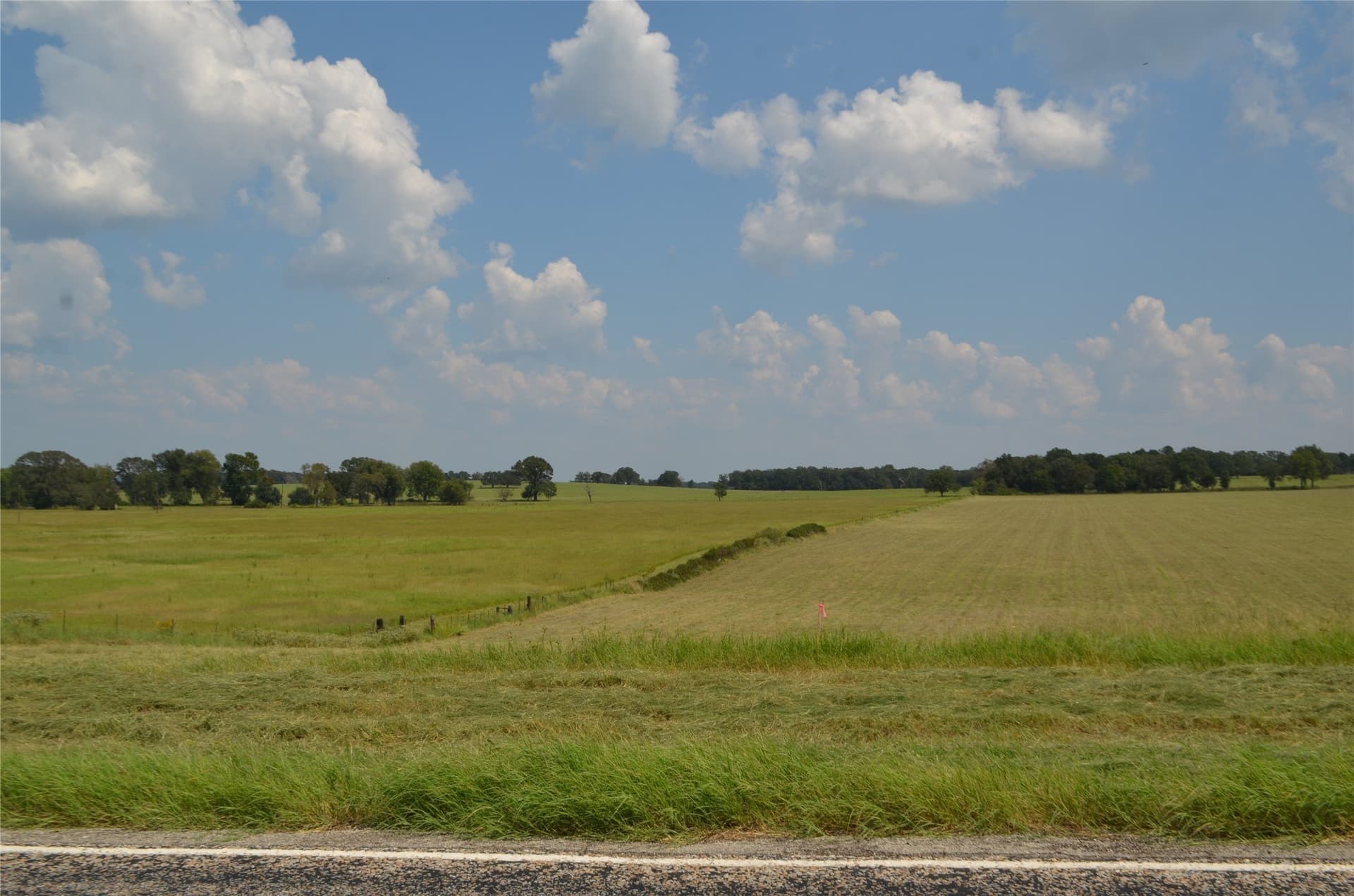 50 acres in Henderson County