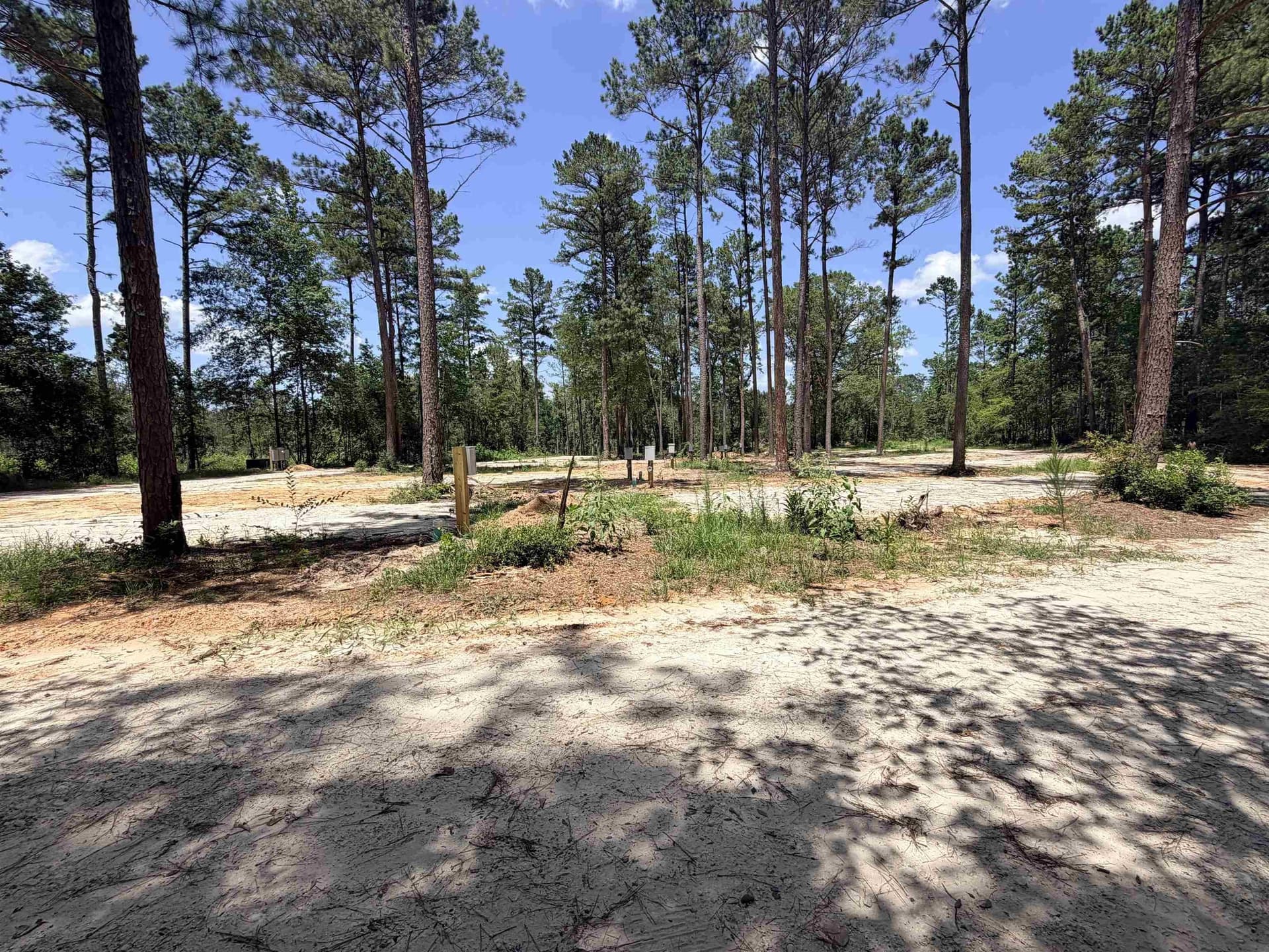 80 acres in Anderson County