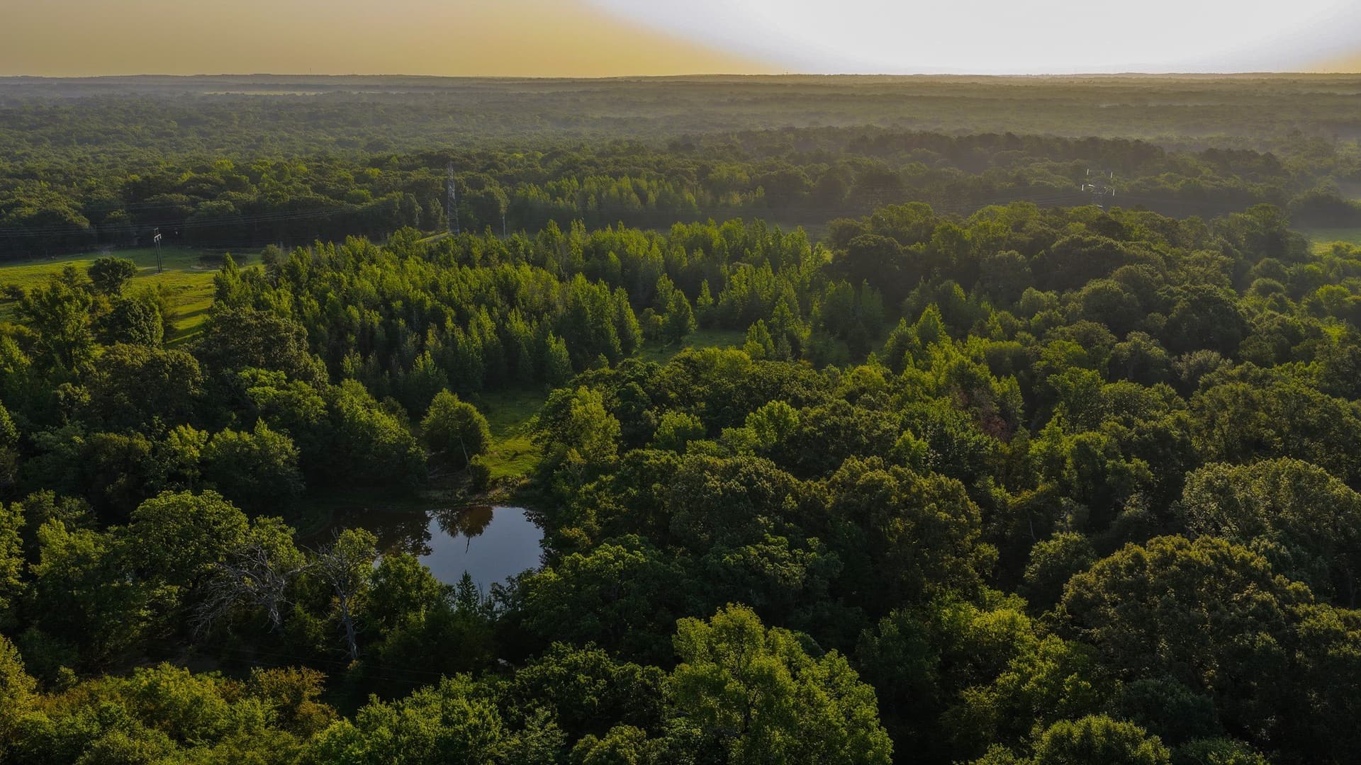 176.9 acres in Van Zandt County