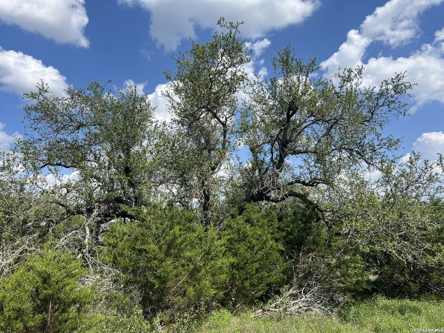 3.01 acres in Comal County