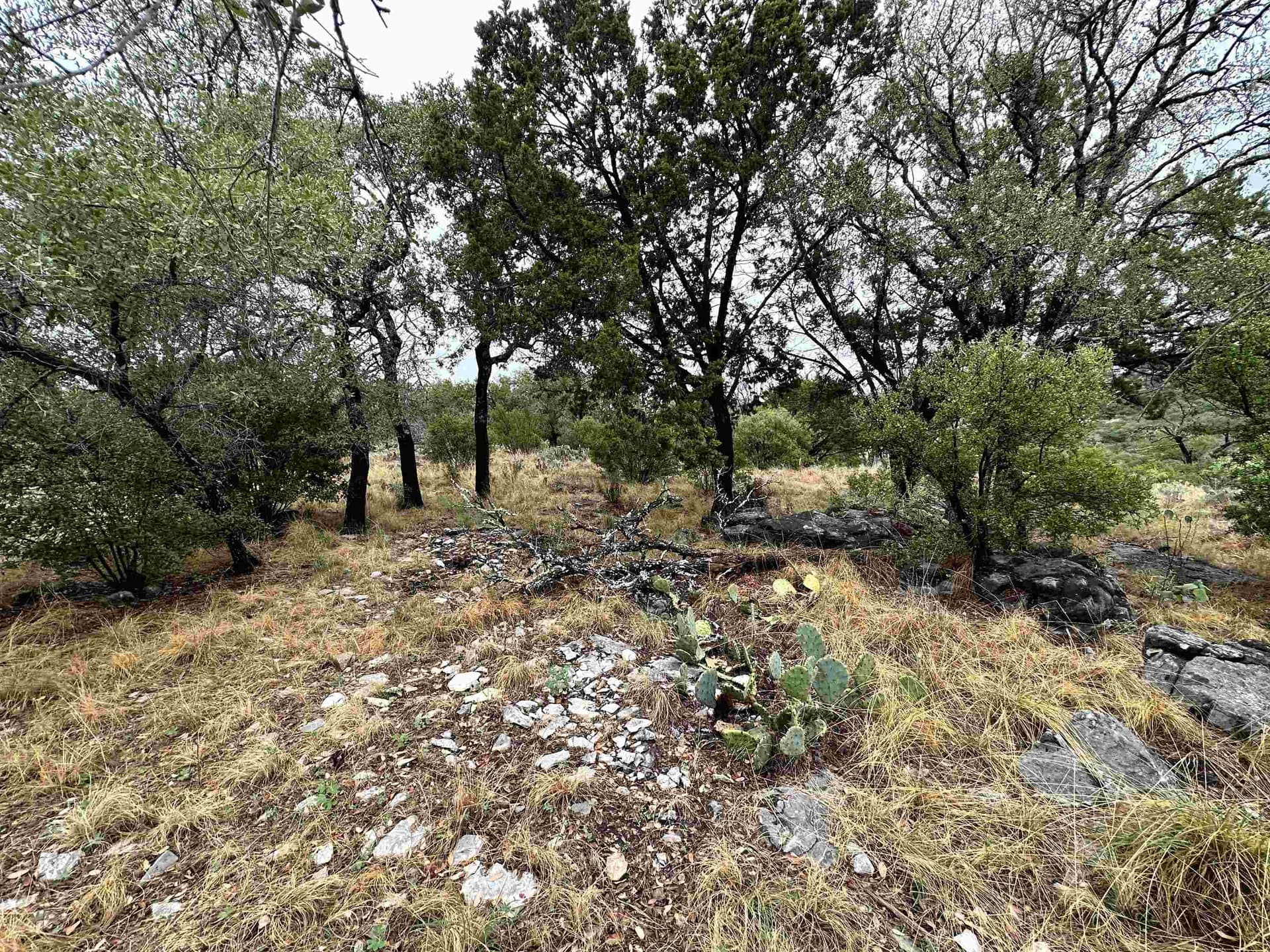 0.25 acres in Llano County