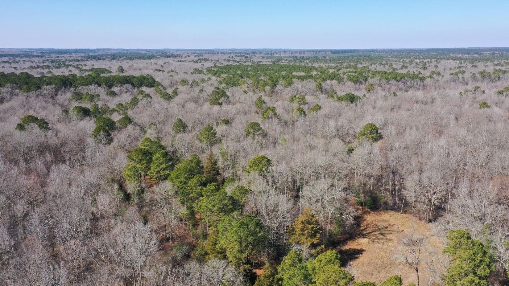 436.08 acres in Cass County