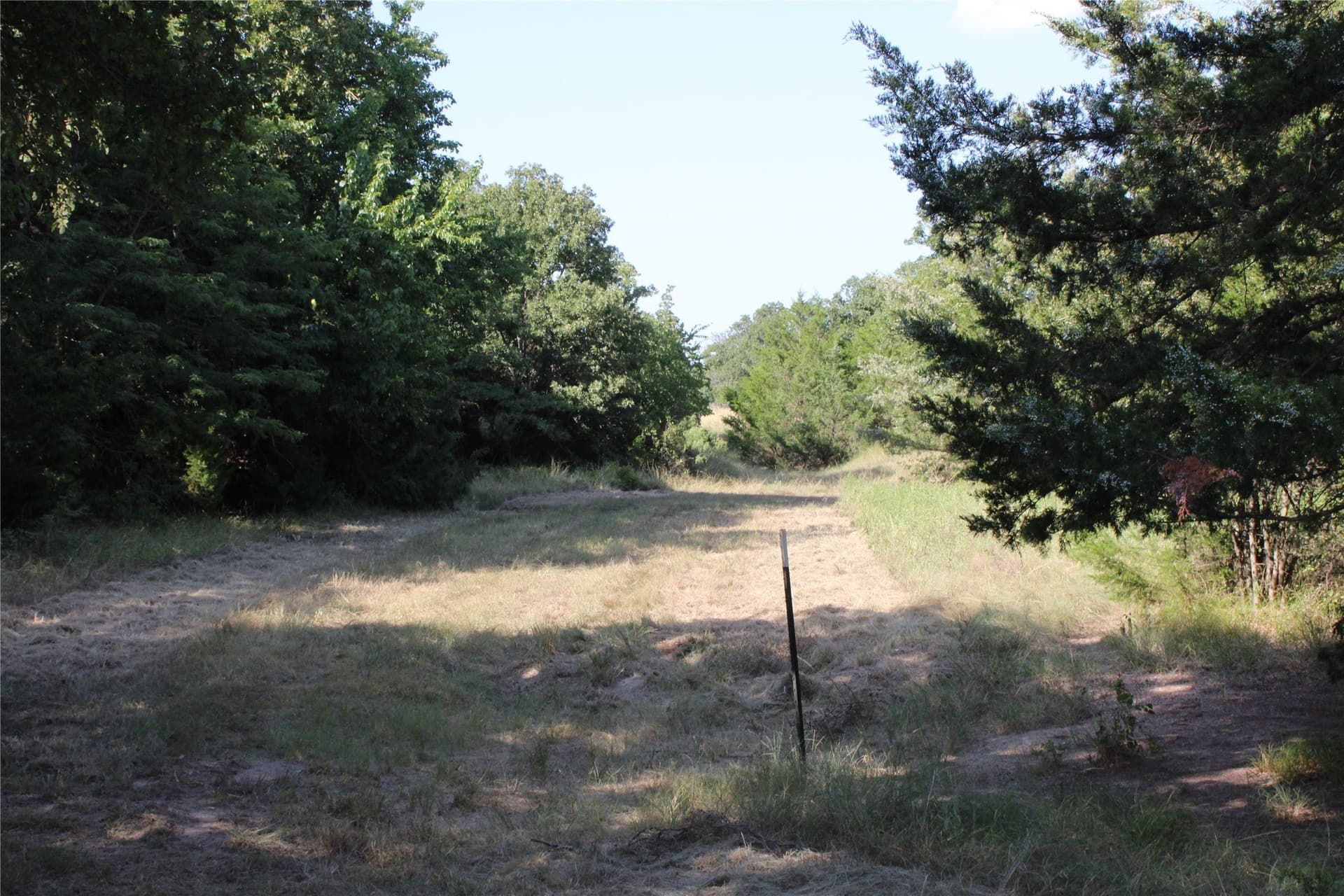 12 acres in Wise County