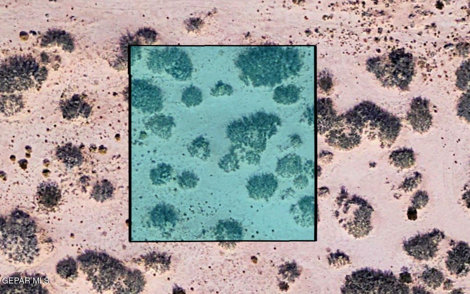0.25 acres in El Paso County