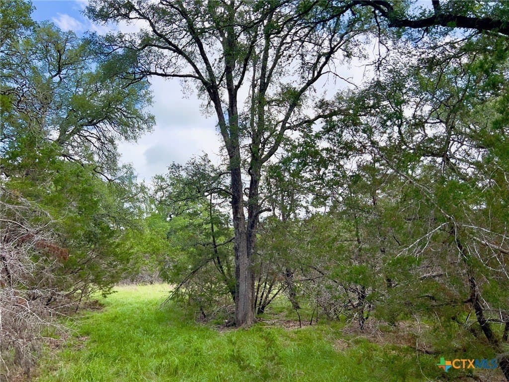 15.69 acres in Blanco County