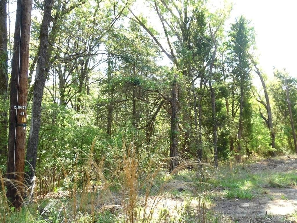 0.28 acres in Van Zandt County