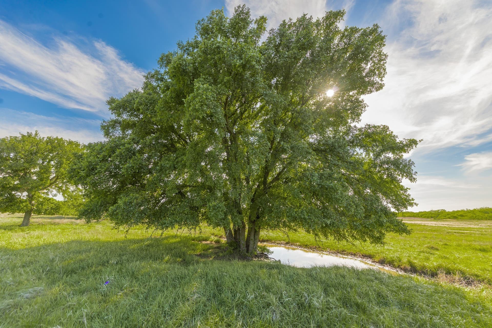 272 acres in Coleman County