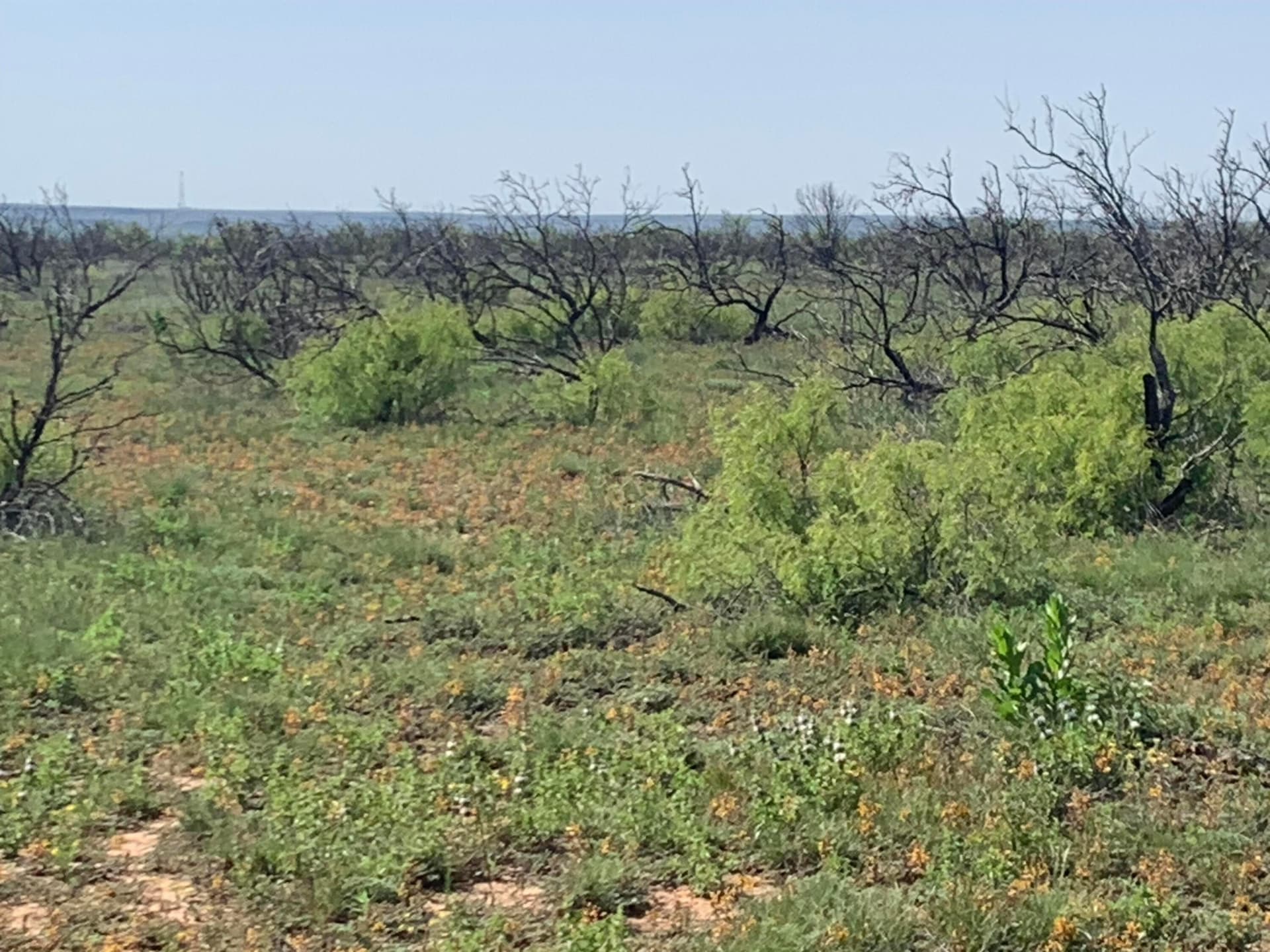 19.61 acres in Potter County