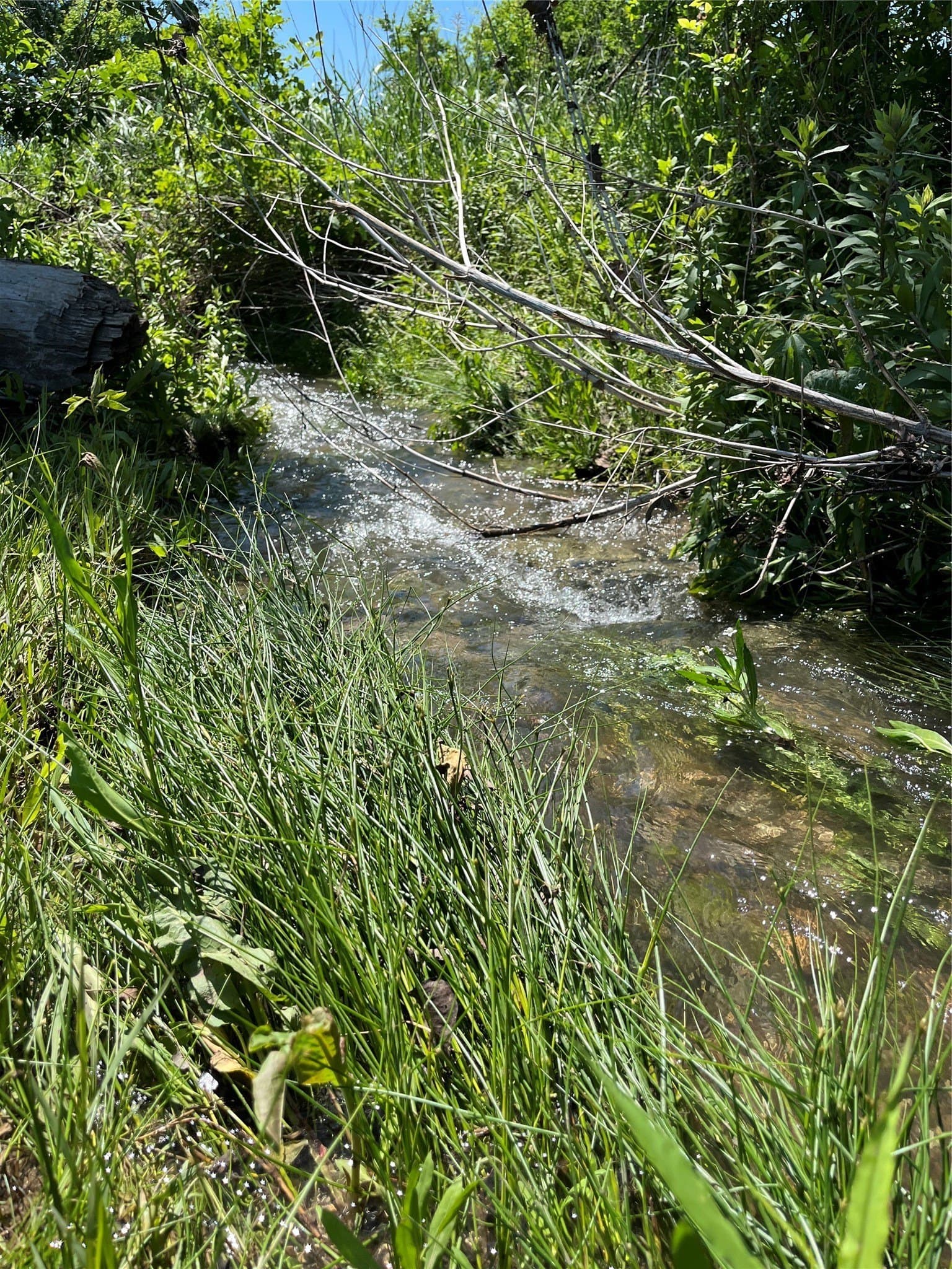 26.98 acres in Coryell County