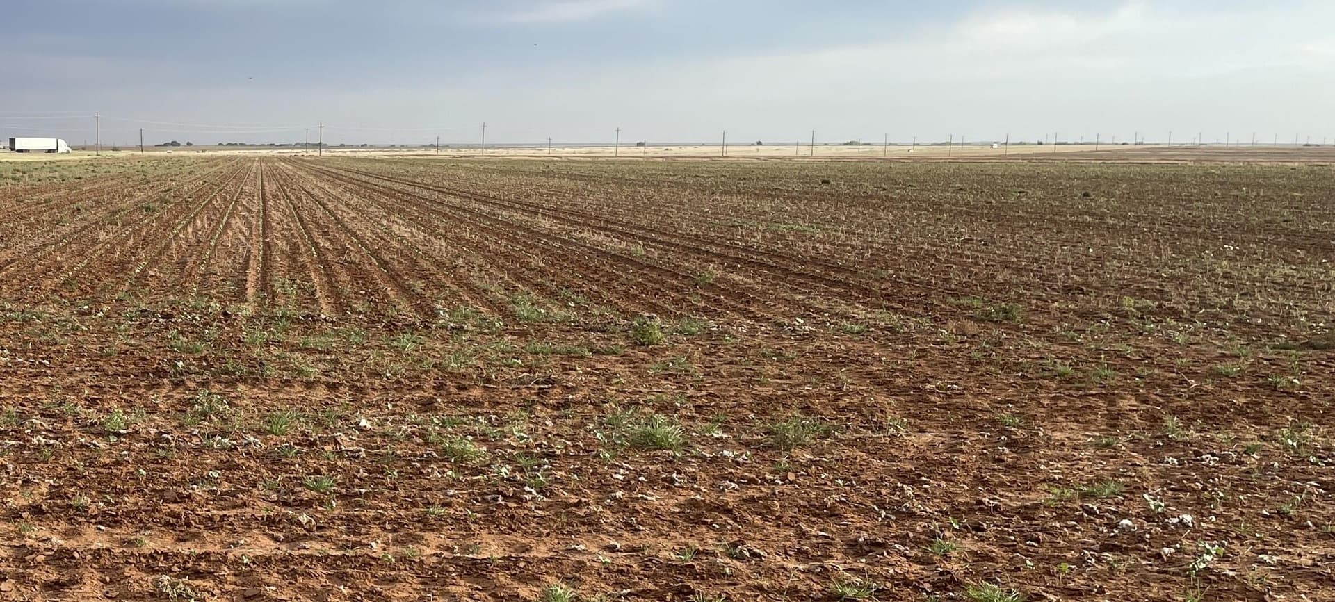 0 acres in Dawson County