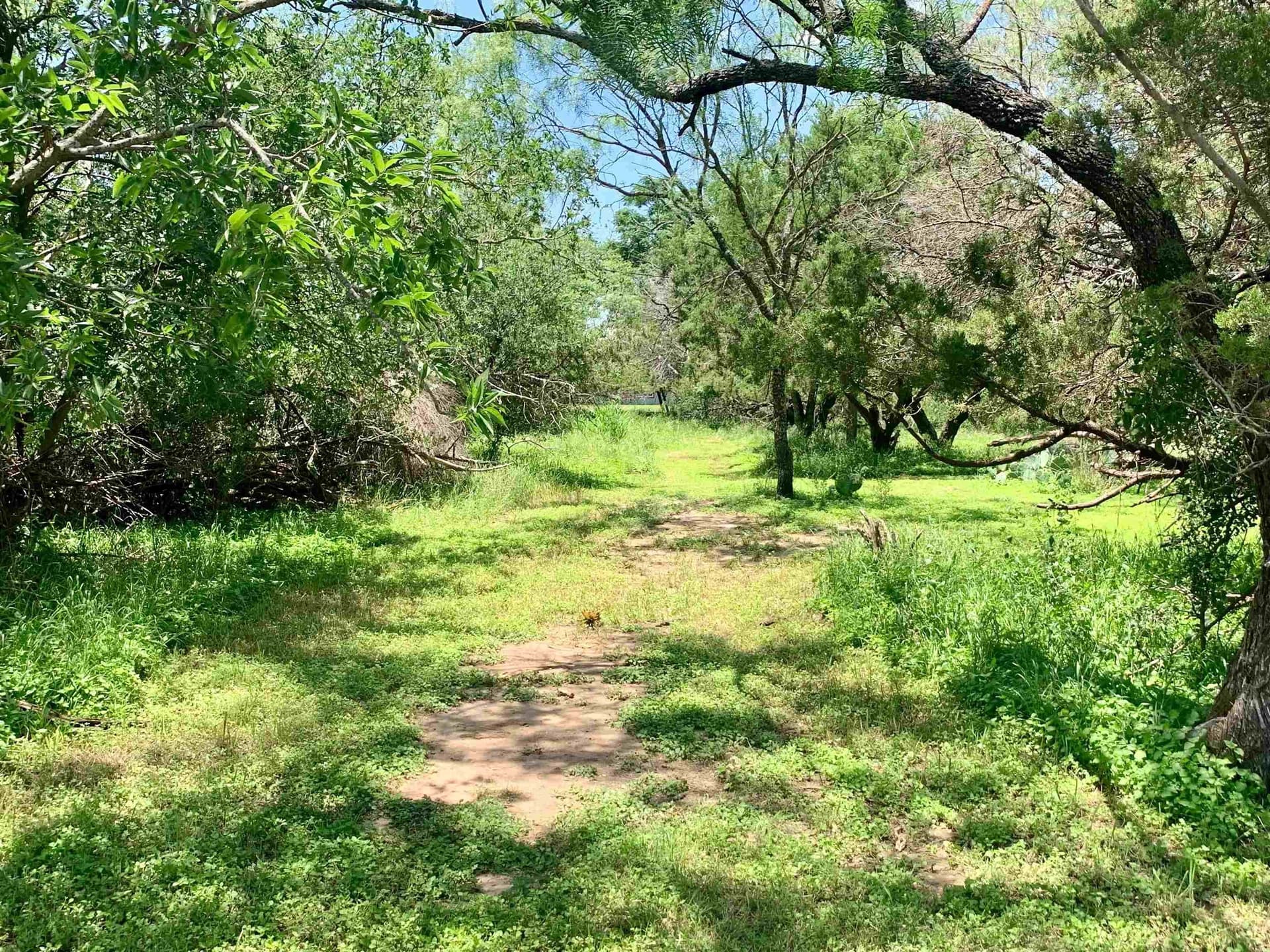0.12 acres in Burnet County
