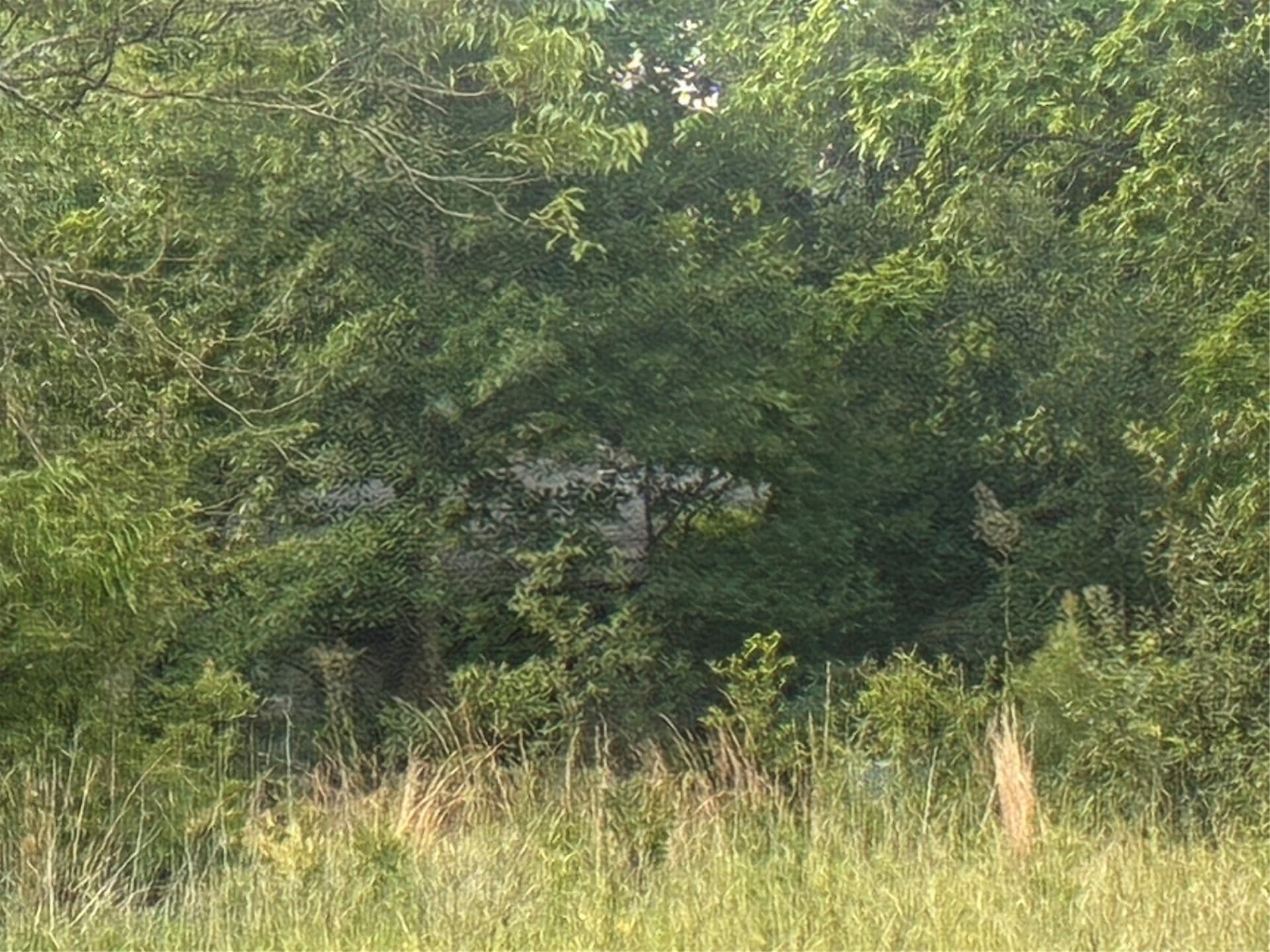 5 acres in Van Zandt County